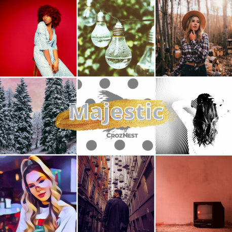Winter Majestic Content Pack